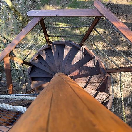 Treehouse U Rybnika Hotel Osecna Eksteriør billede
