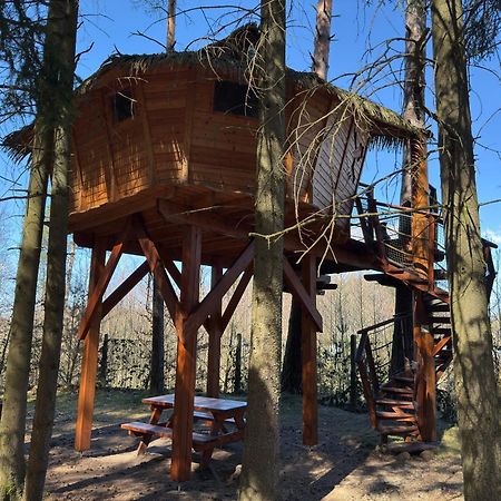Treehouse U Rybnika Hotel Osecna Eksteriør billede