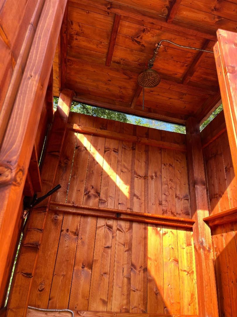 Treehouse U Rybnika Hotel Osecna Eksteriør billede